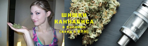 бошки Инта