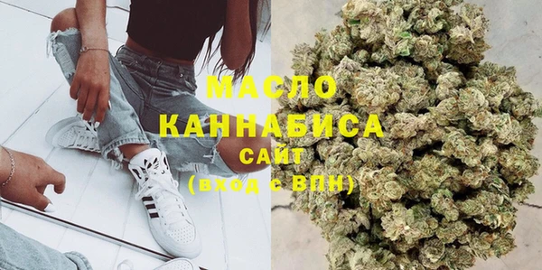 2c-b Инсар