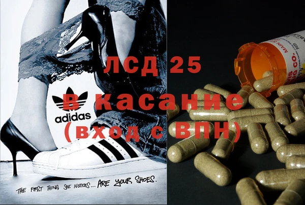бошки Инта