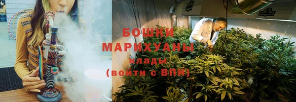 2c-b Инсар