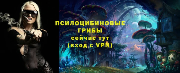 2c-b Инсар