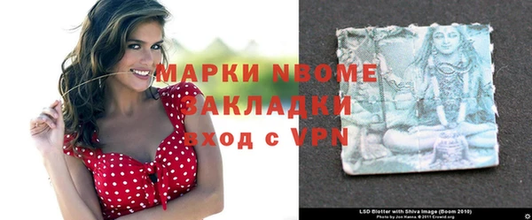 2c-b Инсар