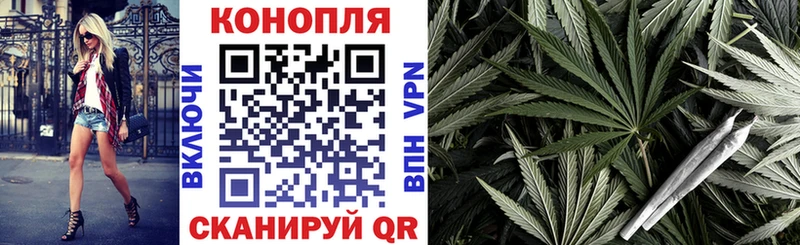 Купить где  Жиздра  МАРИХУАНА конопля 